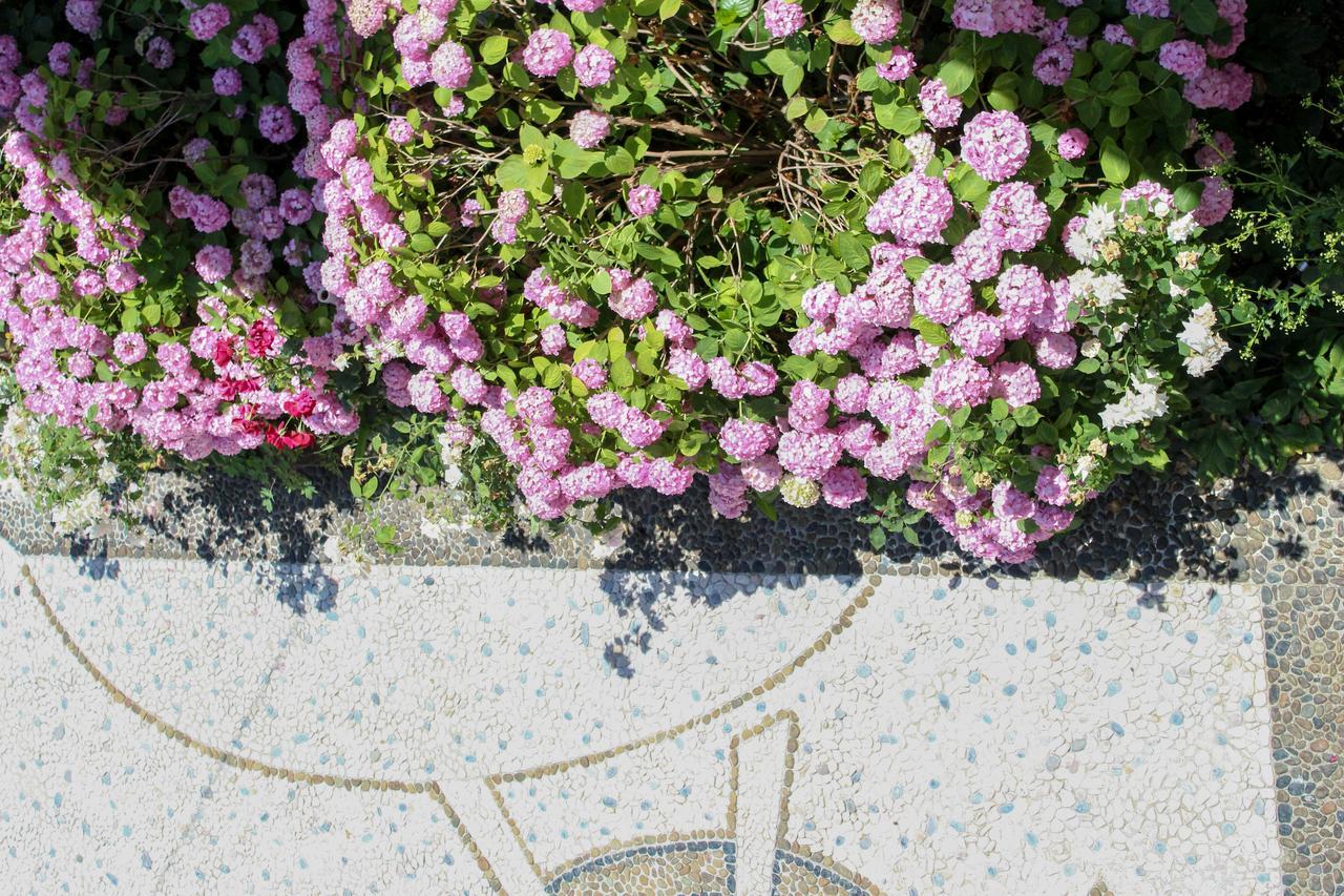 Vila Topciu ポグラデツ エクステリア 写真